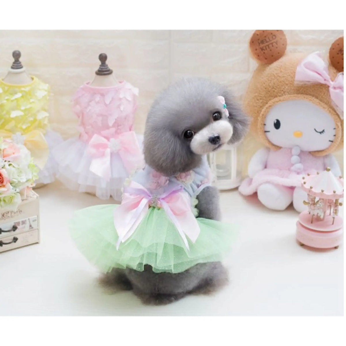Small dog wearing mint green floral tutu dress with pink and lavender bow