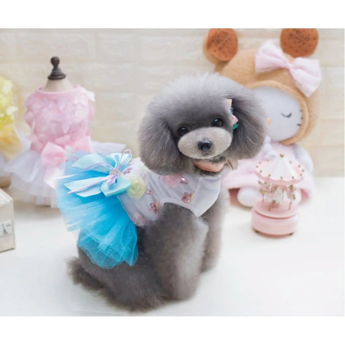 Small dog wearing sky blue tutu dress with floral bodice and bow
