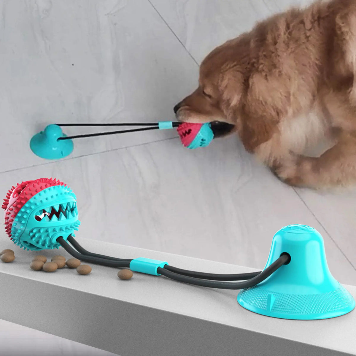 Golden retriever tugging a teal and pink suction cup dog chew toy stuck to a smooth floor ledge