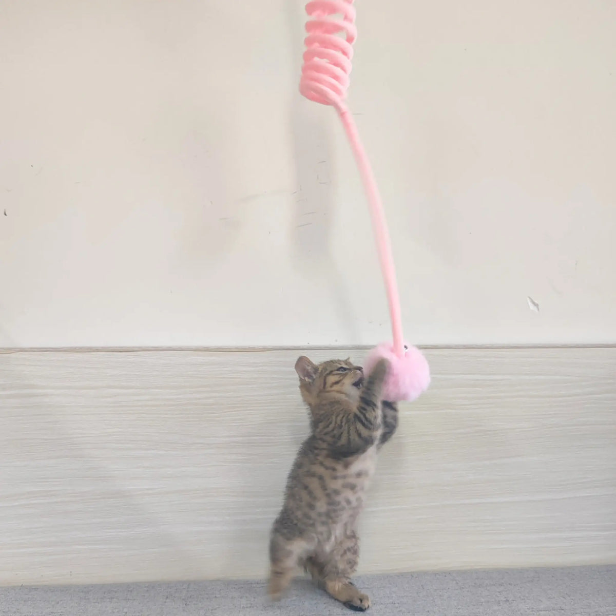 Pink spring cat toy with fluffy pom-pom ball hanging indoors while a kitten bats at it