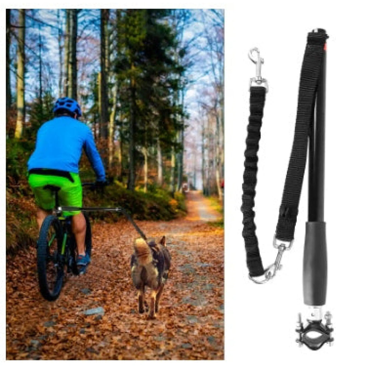 Cyclist riding a forest trail with a dog attached to a bicycle dog leash, beside the black leash with clamp