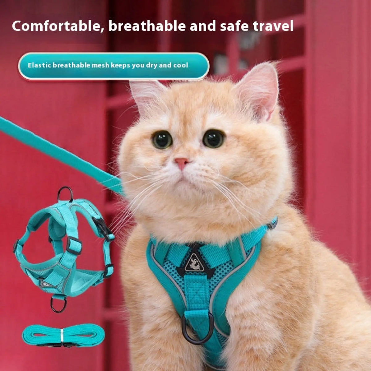 Teal breathable mesh cat harness and matching leash worn by an orange cat