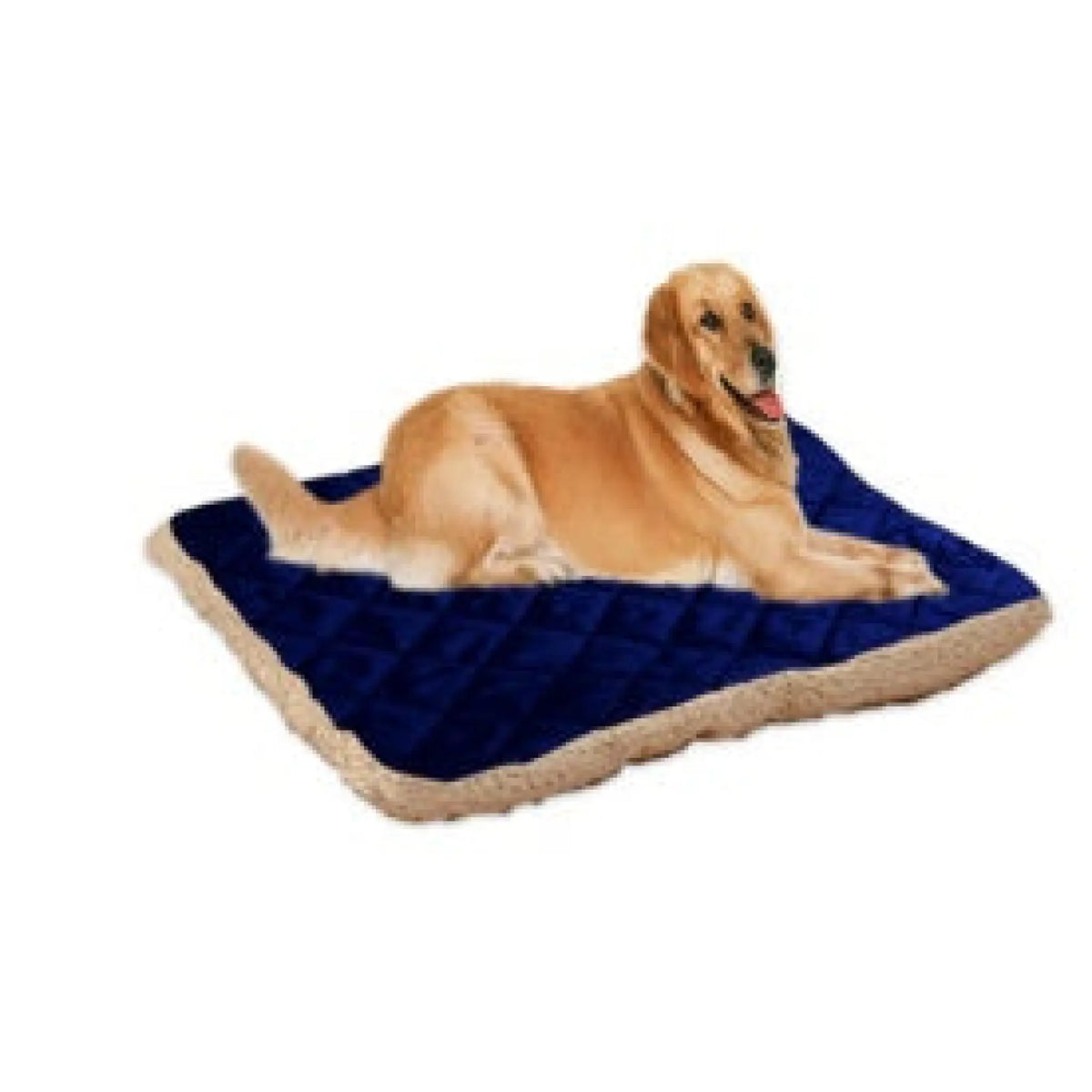 Large dog resting on a navy blue reversible pet bed mat with quilted top and fleece side