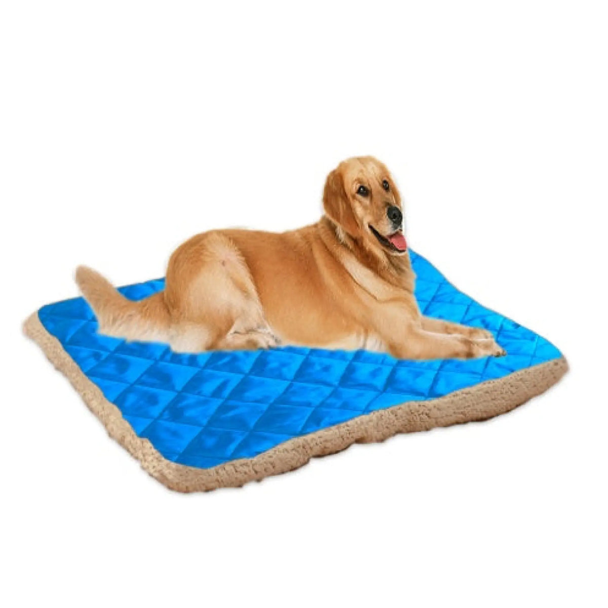 Golden retriever lying on a sky blue quilted reversible pet bed mat with plush border