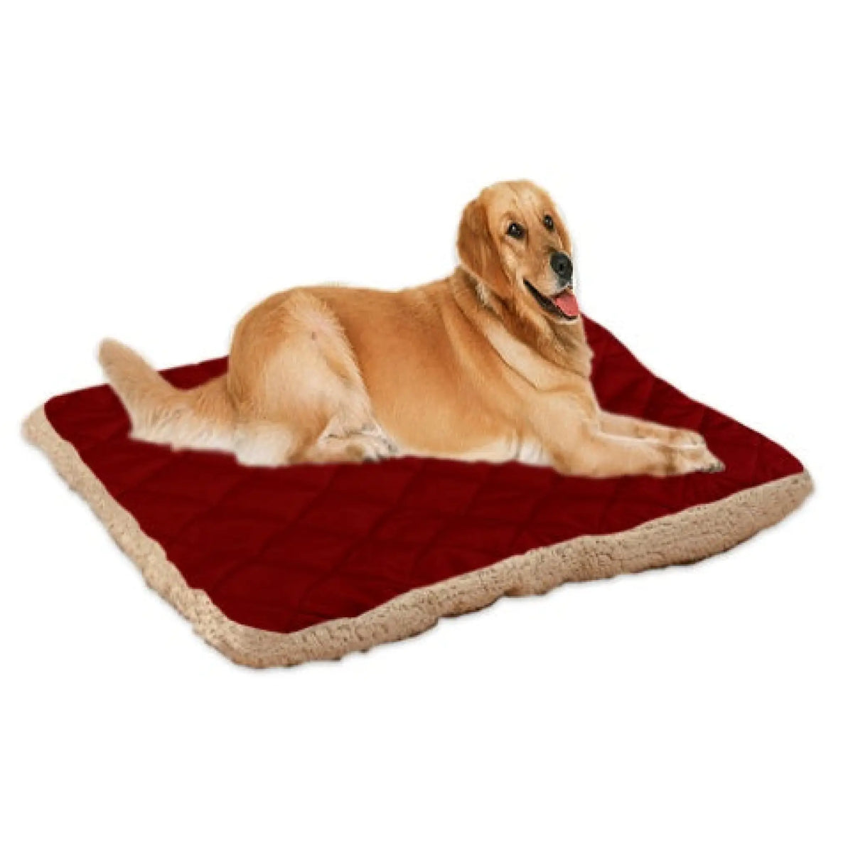 Golden retriever on a wine red quilted pet bed mat with soft plush fleece edge