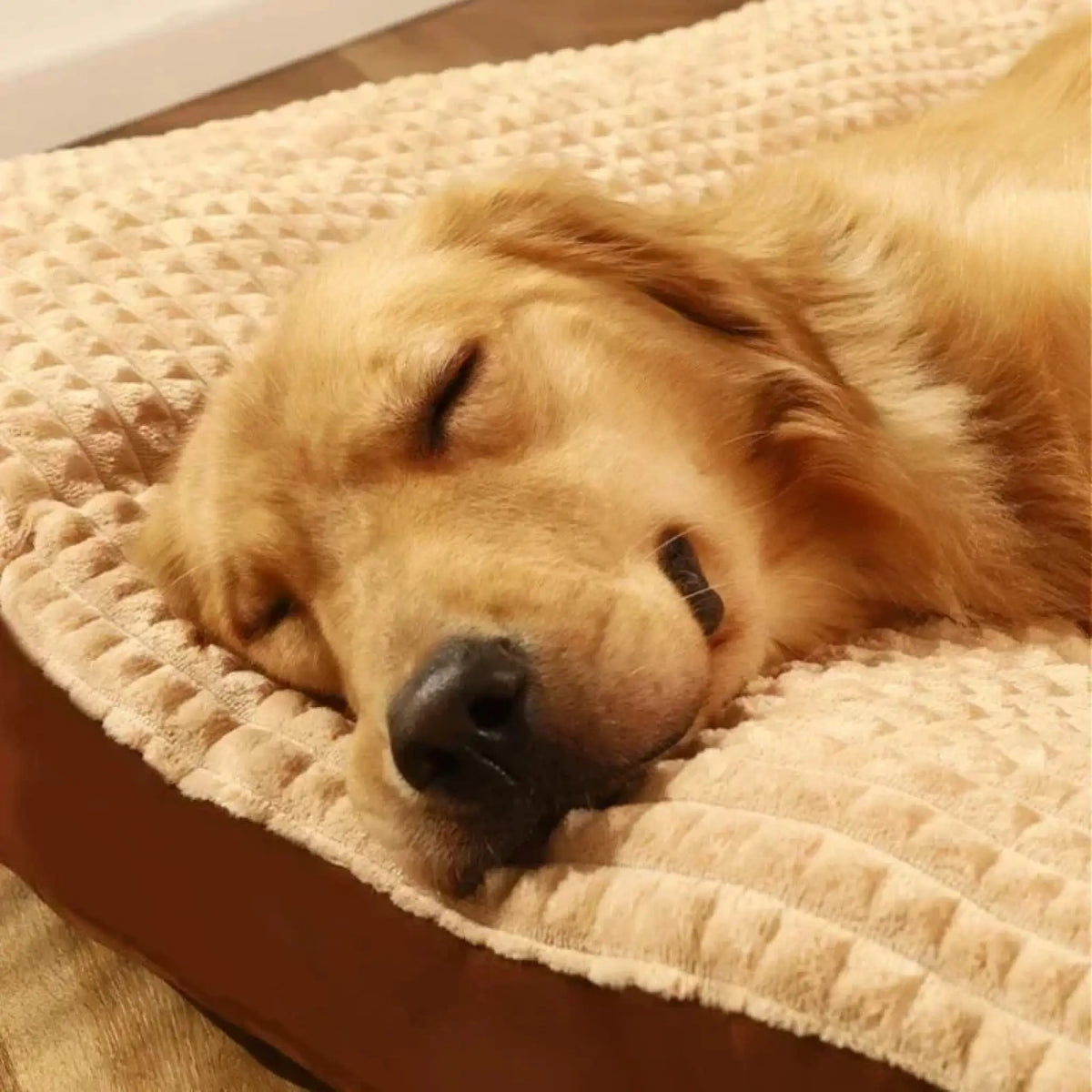 Close-up of a dog resting its head on soft waffle-textured fleece pet bed in beige