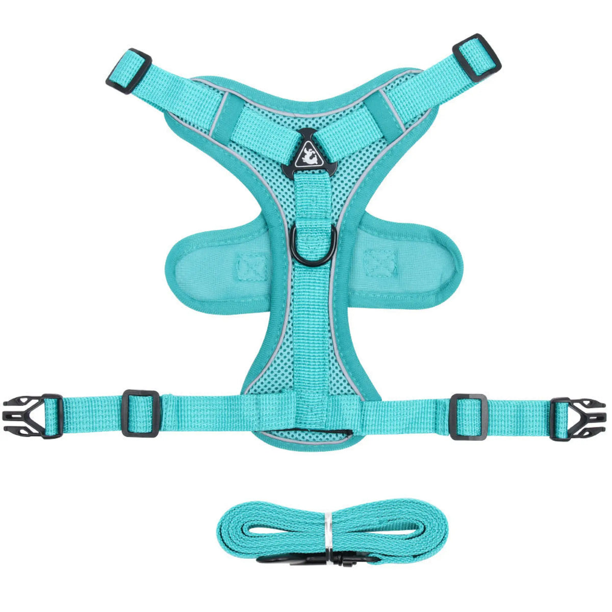 Lake blue teal mesh cat harness flat lay with matching leash