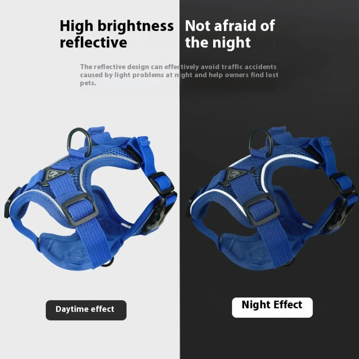 Royal blue reflective cat harness shown in daylight and glowing at night