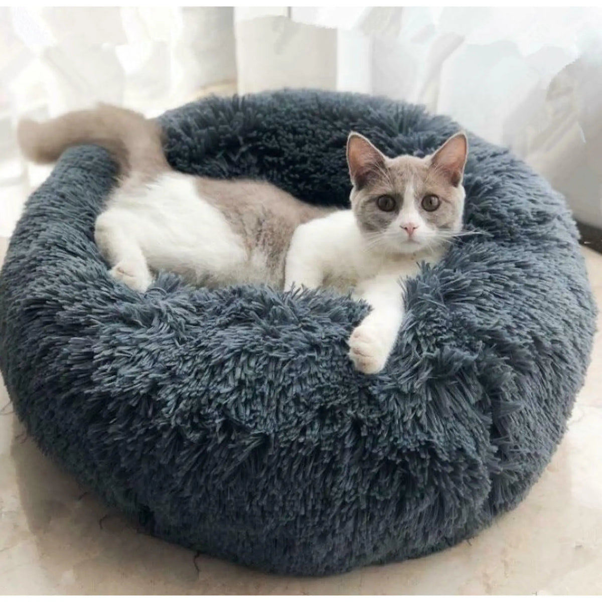 Cat resting in a dark gray fluffy round calming pet bed