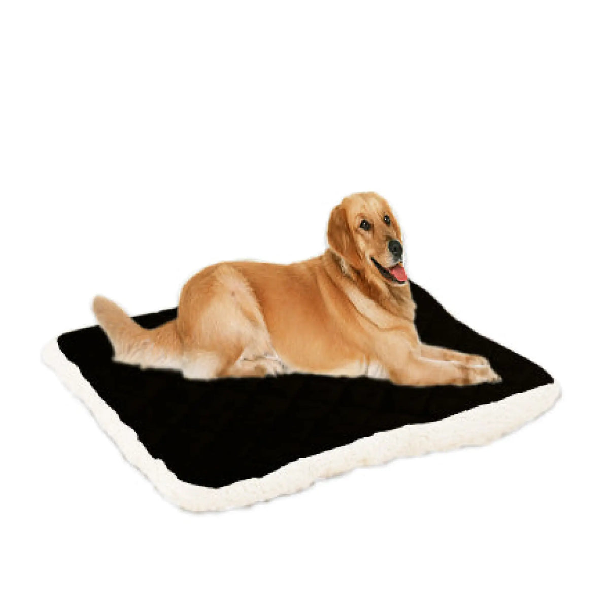 Golden retriever on a black plush pet bed mat with cream fleece border