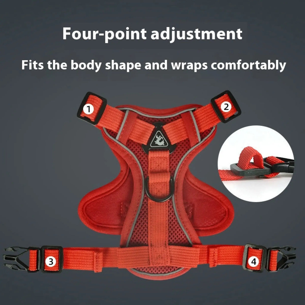 Red cat harness showing four-point adjustment straps and buckles